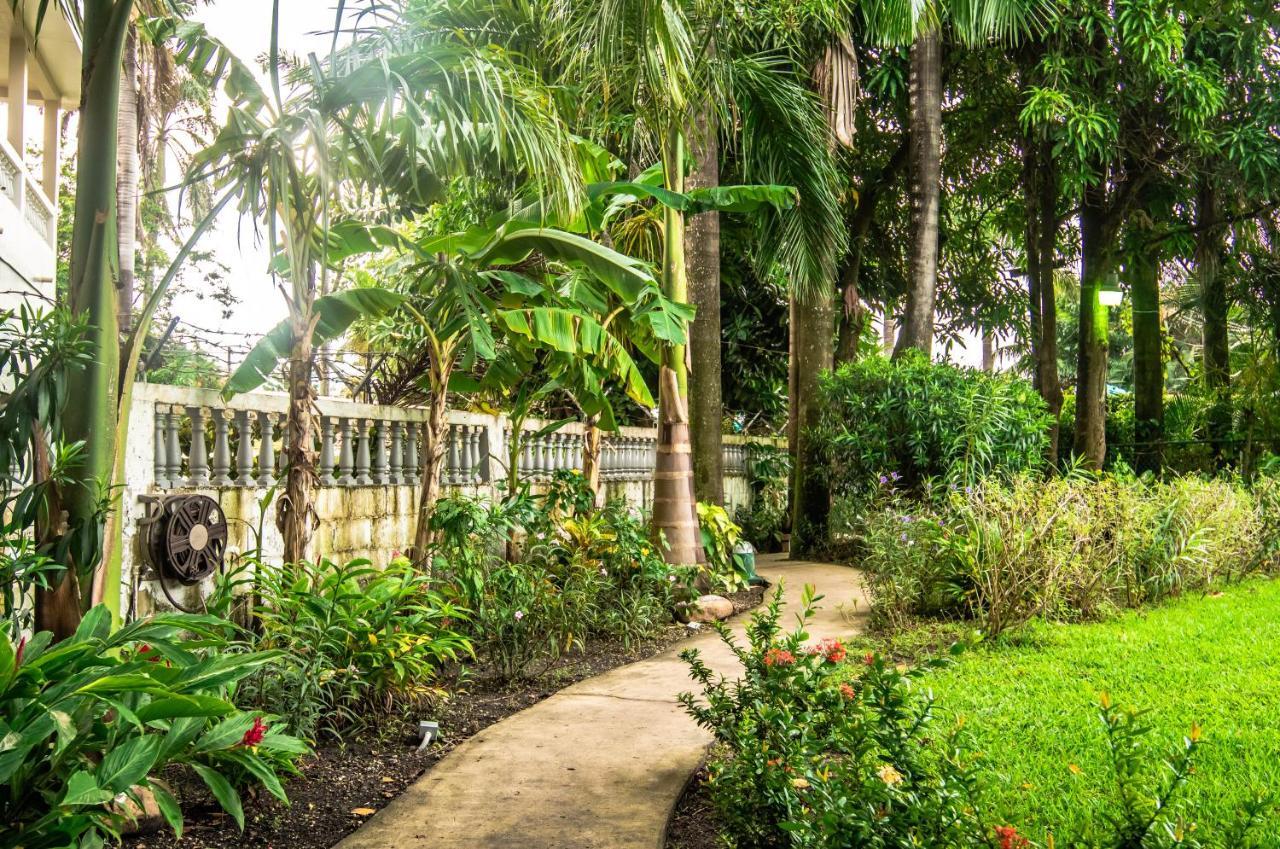 Harbour View Boutique Hotel & Yoga Retreat Belize City Zewnętrze zdjęcie