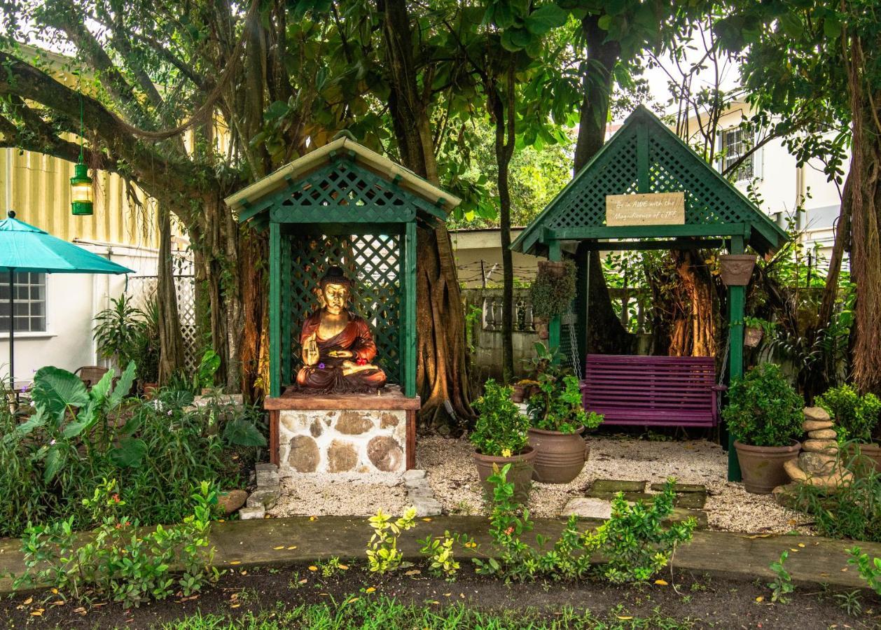 Harbour View Boutique Hotel & Yoga Retreat Belize City Zewnętrze zdjęcie