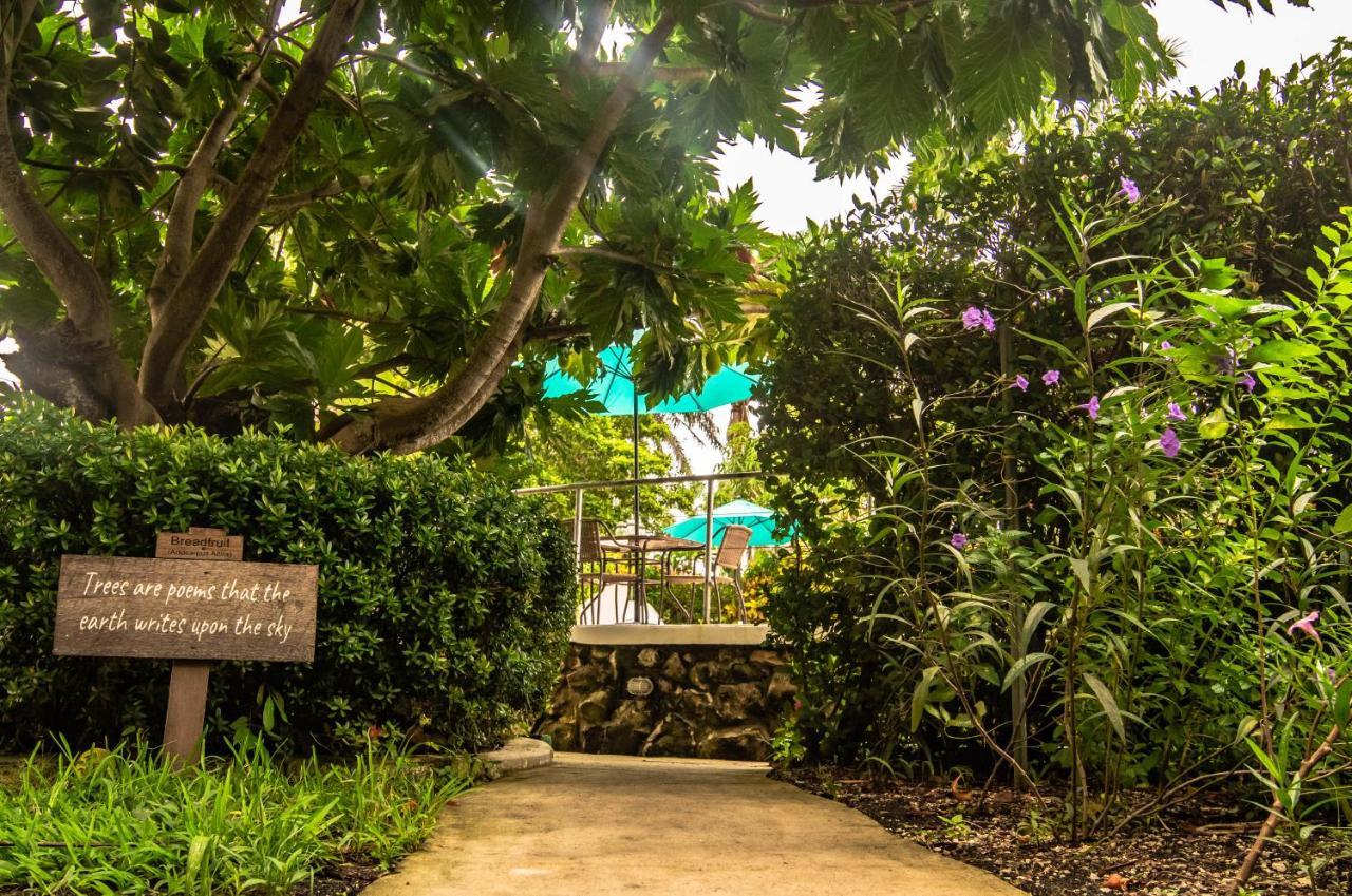 Harbour View Boutique Hotel & Yoga Retreat Belize City Zewnętrze zdjęcie